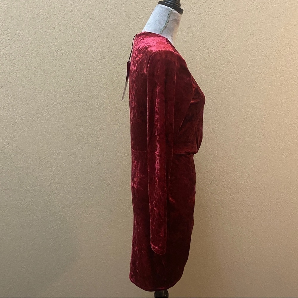 NWT Betsey Johnson Valentine Red Crush Velvet Dress M - Picture 4 of 13